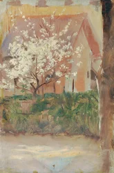 Witbloeiende boom in de voortuin