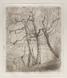 Bomen, 1878