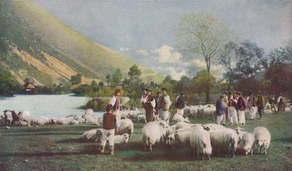 Bosnië