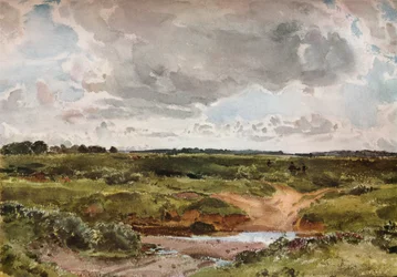 Southwold Common in augustus, ca. 1889