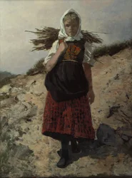 Brandhout verzameld