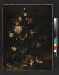Bloemen, insecten en reptielen, 1673