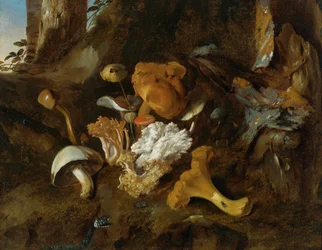 Bosbodem stilleven met paddenstoelen, vlinders en een slang