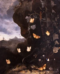 Slangen, padden en vlinders