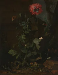 Stilleven met papaver, insecten en reptielen, ca. 1670