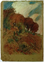 Hangweg met Bomen