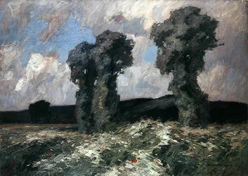Wilgenbomen in de Lahn Vallei