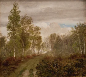 Berkenbomen op Læsø na regen