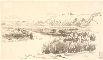 Landschap met een rivier langs de oever waar hoge riet groeit. Heuvels op de achtergrond. Vermoedelijk Vejle