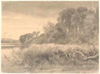 Landschap met een bosmeer. Gurre meer.