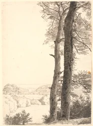 Landschap bij Skarritsø met twee hoge bomen, beuken, op de voorgrond
