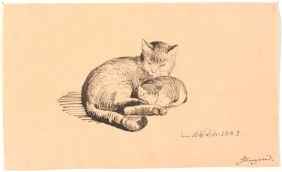 Liggende kat met haar kitten