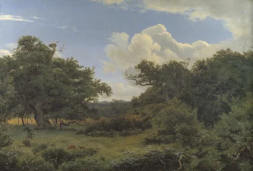 Eikenbomen in Nordskoven bij Jægerspris, Seeland