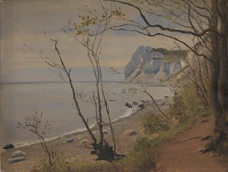 De kliffen van het eiland Møn