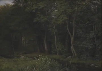 Schemering in een bos bij Iselingen Manor, Seeland