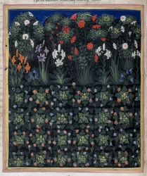 Tuin (Uit: Regia Carmina van Convenevole da Prato). Rond 1335