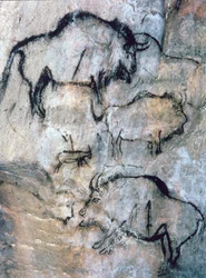 Gewonde Bison, Magdalénien