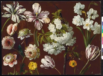 Paarse tulpen, witte bloeiende prunus, narcis en roze chrysant
