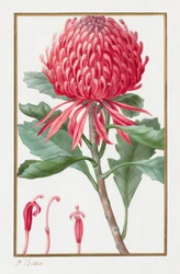 Zonder titel, 1828-1835
