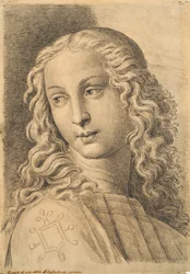 Hoofd van een vrouw, uit 42 Studies of Heads na Raphael