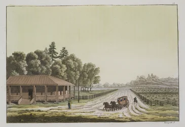 Uitzicht op Capitol Hill, Washington