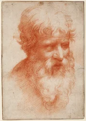 Hoofd van een bebaarde man, naar rechts kijkend, ca. 1523-25 (rode krijt op papier)
