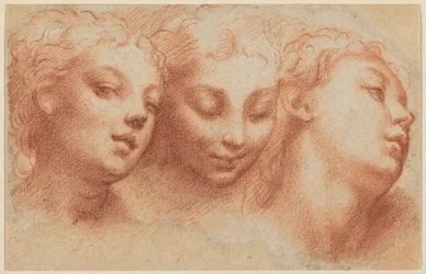 Drie vrouwenhoofden
