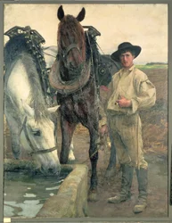 Paarden bij de drinkbak