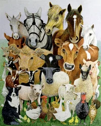 Allerlei dieren (acrylverf op calico)