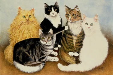 Wieg van de kat
