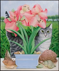 Mogelijkheden verkennen, 2011 (acryl op calico)
