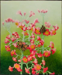 In het roze, 2011 (acryl op calico)