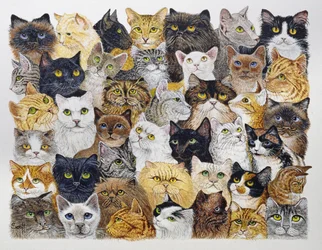 De snor van de kat (acryl op calico)