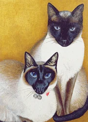 Mavis en Barnaby