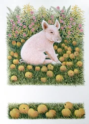 Nog een appel (olieverf op doek)