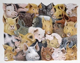 Varkens Galore (acryl op calico)