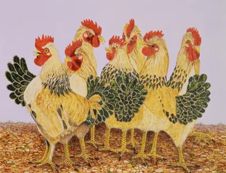 Strutters Ballet