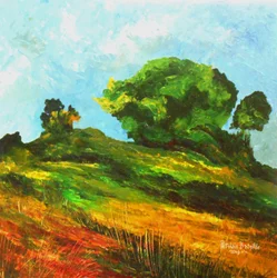 Weg naar Mayette, 2015