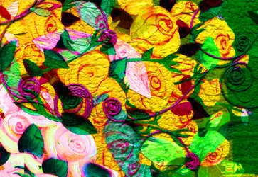 Bloemen