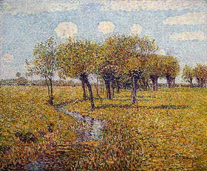 Nederlands Landschap met Wilgen in de Lente in een Kleine Weidevallei