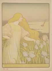 Iris