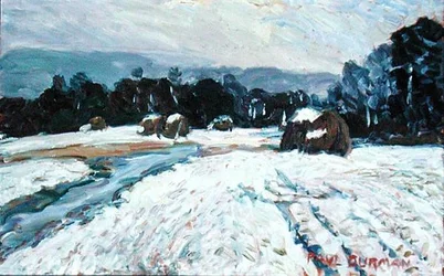 Eerste sneeuw