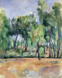 Provençaals Landschap