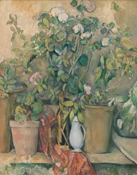 Terracotta potten en bloemen