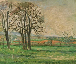 De kale bomen bij Jas de Bouffan