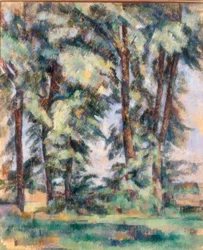 Grote bomen bij Jas de Bouffan