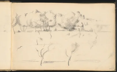 Landschap met Bomen