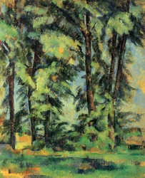 De grote bomen bij Jas de Bouffan