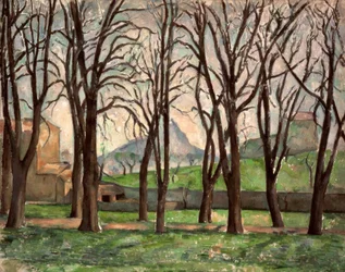 Kastanjebomen van Jas de Bouffan in de winter