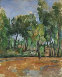 Provençaals landschap